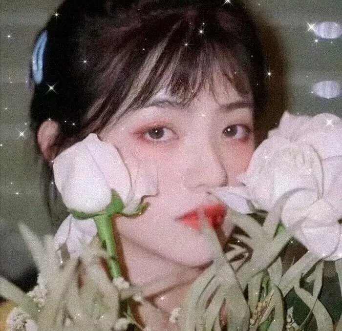 心荡神驰